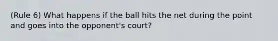 (Rule 6) What happens if the ball hits the net during the point and goes into the opponent's court?