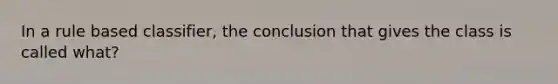 In a rule based classifier, the conclusion that gives the class is called what?