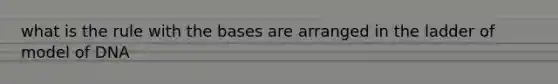 what is the rule with the bases are arranged in the ladder of model of DNA