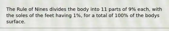 The Rule of Nines divides the body into 11 parts of 9% each, with the soles of the feet having 1%, for a total of 100% of the bodys surface.