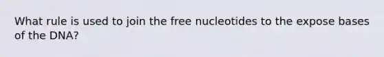 What rule is used to join the free nucleotides to the expose bases of the DNA?