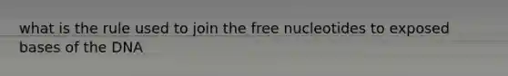 what is the rule used to join the free nucleotides to exposed bases of the DNA