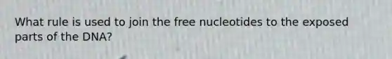 What rule is used to join the free nucleotides to the exposed parts of the DNA?