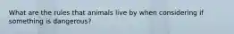 What are the rules that animals live by when considering if something is dangerous?