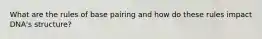 What are the rules of base pairing and how do these rules impact DNA's structure?