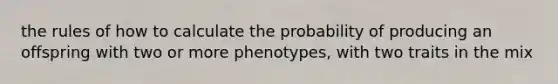 the rules of how to calculate the probability of producing an offspring with two or more phenotypes, with two traits in the mix