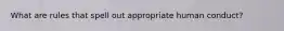 What are rules that spell out appropriate human conduct?