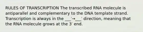 RULES OF TRANSCRIPTION The transcribed RNA molecule is antiparallel and complementary to the DNA template strand. Transcription is always in the ___′→___′ direction, meaning that the RNA molecule grows at the 3′ end.