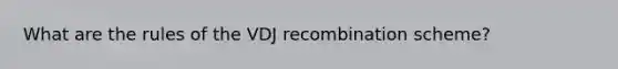 What are the rules of the VDJ recombination scheme?