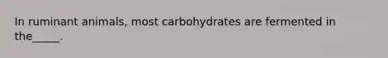 In ruminant animals, most carbohydrates are fermented in the_____.