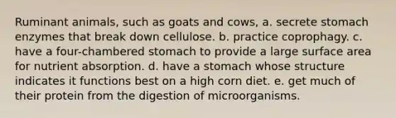 Ruminant animals, such as goats and cows, a. secrete stomach enzymes that break down cellulose. b. practice coprophagy. c. have a four-chambered stomach to provide a large surface area for nutrient absorption. d. have a stomach whose structure indicates it functions best on a high corn diet. e. get much of their protein from the digestion of microorganisms.