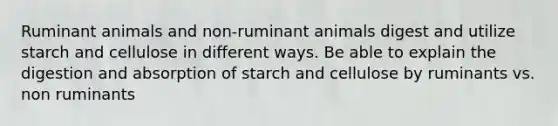 Ruminant animals and non-ruminant animals digest and utilize starch and cellulose in different ways. Be able to explain the digestion and absorption of starch and cellulose by ruminants vs. non ruminants