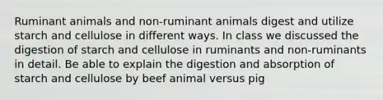 Ruminant animals and non-ruminant animals digest and utilize starch and cellulose in different ways. In class we discussed the digestion of starch and cellulose in ruminants and non-ruminants in detail. Be able to explain the digestion and absorption of starch and cellulose by beef animal versus pig