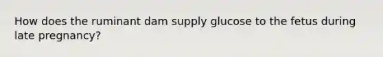 How does the ruminant dam supply glucose to the fetus during late pregnancy?