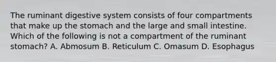 The ruminant digestive system consists of four compartments that make up the stomach and the large and small intestine. Which of the following is not a compartment of the ruminant stomach? A. Abmosum B. Reticulum C. Omasum D. Esophagus