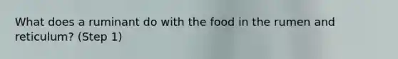 What does a ruminant do with the food in the rumen and reticulum? (Step 1)