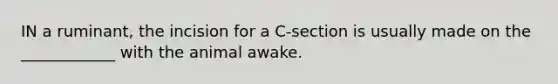 IN a ruminant, the incision for a C-section is usually made on the ____________ with the animal awake.