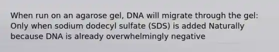 When run on an agarose gel, DNA will migrate through the gel: Only when sodium dodecyl sulfate (SDS) is added Naturally because DNA is already overwhelmingly negative