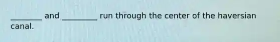 ________ and _________ run through the center of the haversian canal.