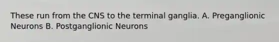 These run from the CNS to the terminal ganglia. A. Preganglionic Neurons B. Postganglionic Neurons