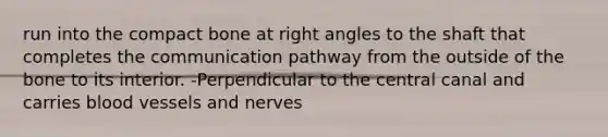 run into the compact bone at <a href='https://www.questionai.com/knowledge/kIh722csLJ-right-angle' class='anchor-knowledge'>right angle</a>s to the shaft that completes the communication pathway from the outside of the bone to its interior. -Perpendicular to the central canal and carries <a href='https://www.questionai.com/knowledge/kZJ3mNKN7P-blood-vessels' class='anchor-knowledge'>blood vessels</a> and nerves