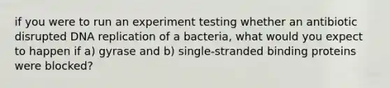 if you were to run an experiment testing whether an antibiotic disrupted DNA replication of a bacteria, what would you expect to happen if a) gyrase and b) single-stranded binding proteins were blocked?