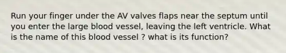 Run your finger under the AV valves flaps near the septum until you enter the large blood vessel, leaving the left ventricle. What is the name of this blood vessel ? what is its function?