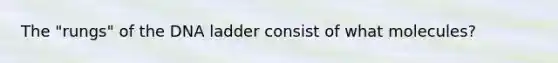 The "rungs" of the DNA ladder consist of what molecules?