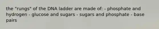 the "rungs" of the DNA ladder are made of: - phosphate and hydrogen - glucose and sugars - sugars and phosphate - base pairs