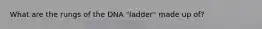 What are the rungs of the DNA "ladder" made up of?