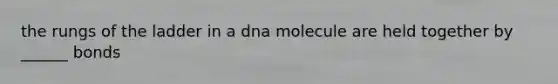 the rungs of the ladder in a dna molecule are held together by ______ bonds