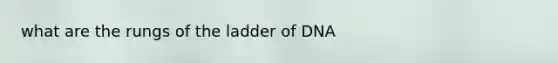 what are the rungs of the ladder of DNA