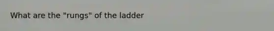 What are the "rungs" of the ladder
