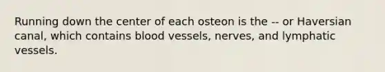 Running down the center of each osteon is the -- or Haversian canal, which contains blood vessels, nerves, and lymphatic vessels.