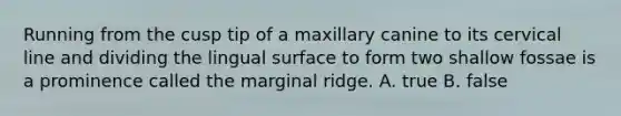 Running from the cusp tip of a maxillary canine to its cervical line and dividing the lingual surface to form two shallow fossae is a prominence called the marginal ridge. A. true B. false