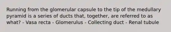 Running from the glomerular capsule to the tip of the medullary pyramid is a series of ducts that, together, are referred to as what? - Vasa recta - Glomerulus - Collecting duct - Renal tubule