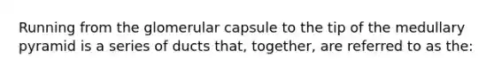 Running from the glomerular capsule to the tip of the medullary pyramid is a series of ducts that, together, are referred to as the: