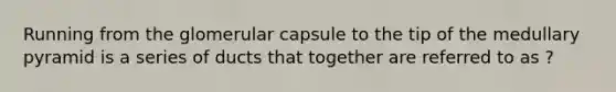 Running from the glomerular capsule to the tip of the medullary pyramid is a series of ducts that together are referred to as ?