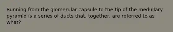 Running from the glomerular capsule to the tip of the medullary pyramid is a series of ducts that, together, are referred to as what?