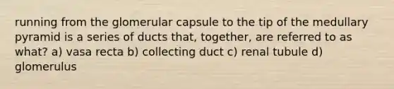 running from the glomerular capsule to the tip of the medullary pyramid is a series of ducts that, together, are referred to as what? a) vasa recta b) collecting duct c) renal tubule d) glomerulus