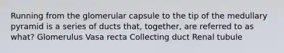 Running from the glomerular capsule to the tip of the medullary pyramid is a series of ducts that, together, are referred to as what? Glomerulus Vasa recta Collecting duct Renal tubule