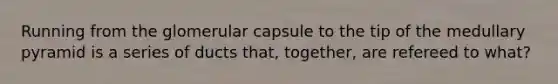 Running from the glomerular capsule to the tip of the medullary pyramid is a series of ducts that, together, are refereed to what?