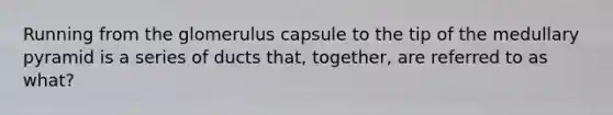 Running from the glomerulus capsule to the tip of the medullary pyramid is a series of ducts that, together, are referred to as what?