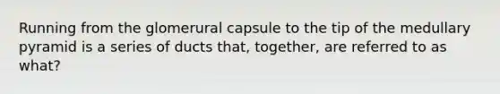 Running from the glomerural capsule to the tip of the medullary pyramid is a series of ducts that, together, are referred to as what?