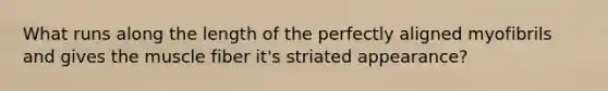 What runs along the length of the perfectly aligned myofibrils and gives the muscle fiber it's striated appearance?