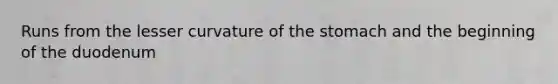 Runs from the lesser curvature of the stomach and the beginning of the duodenum