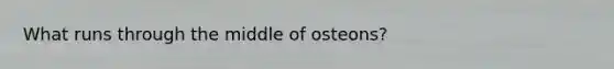 What runs through the middle of osteons?