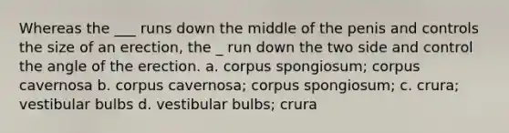 Whereas the ___ runs down the middle of the penis and controls the size of an erection, the _ run down the two side and control the angle of the erection. a. corpus spongiosum; corpus cavernosa b. corpus cavernosa; corpus spongiosum; c. crura; vestibular bulbs d. vestibular bulbs; crura