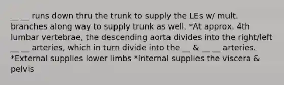 __ __ runs down thru the trunk to supply the LEs w/ mult. branches along way to supply trunk as well. *At approx. 4th lumbar vertebrae, the descending aorta divides into the right/left __ __ arteries, which in turn divide into the __ & __ __ arteries. *External supplies lower limbs *Internal supplies the viscera & pelvis