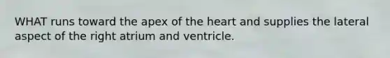 WHAT runs toward the apex of <a href='https://www.questionai.com/knowledge/kya8ocqc6o-the-heart' class='anchor-knowledge'>the heart</a> and supplies the lateral aspect of the right atrium and ventricle.